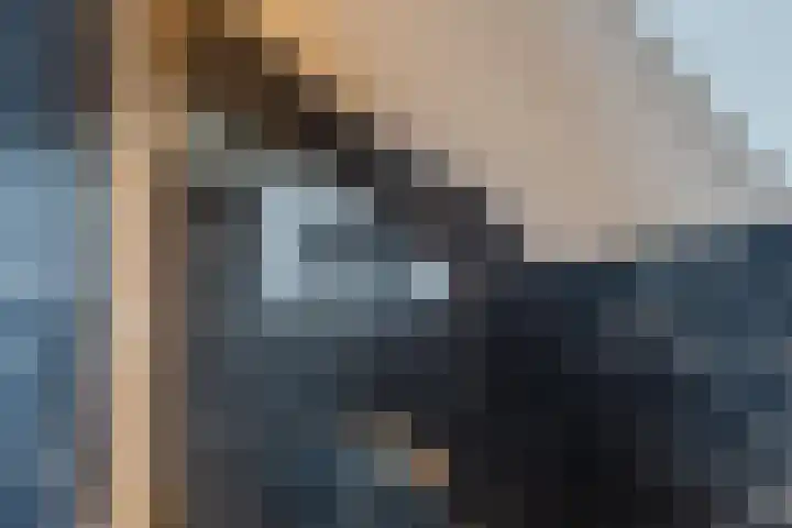 Shipovalaan 11 Utrecht thumbnail 40