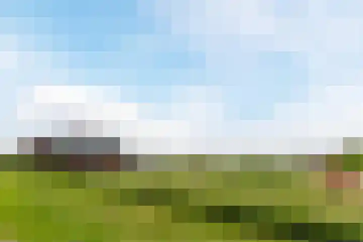 Shipovalaan 11 Utrecht thumbnail 51