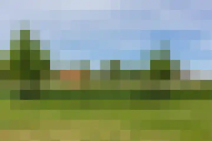 Shipovalaan 11 Utrecht thumbnail 52