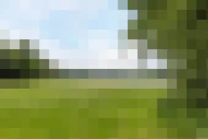 Shipovalaan 11 Utrecht thumbnail 53