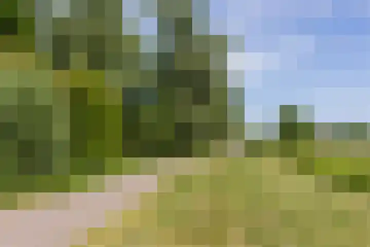 Shipovalaan 11 Utrecht thumbnail 54