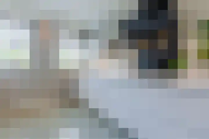 Shipovalaan 11 Utrecht thumbnail 9