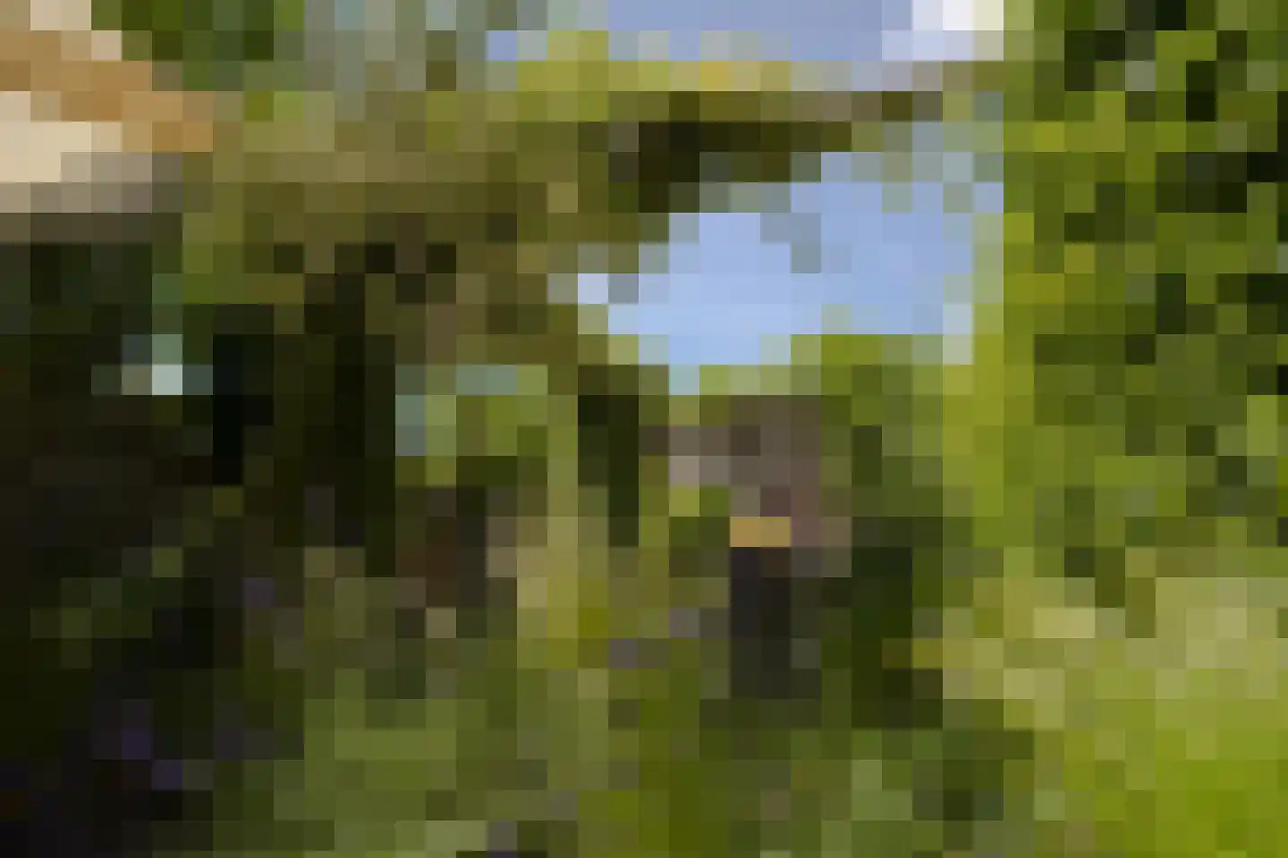Shipovalaan 17 Utrecht thumbnail 30