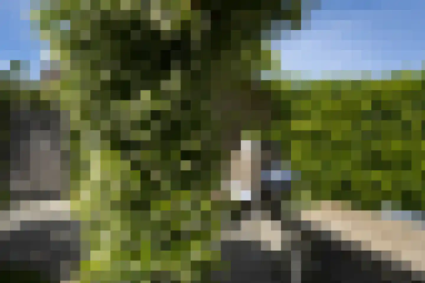 Shipovalaan 17 Utrecht thumbnail 31