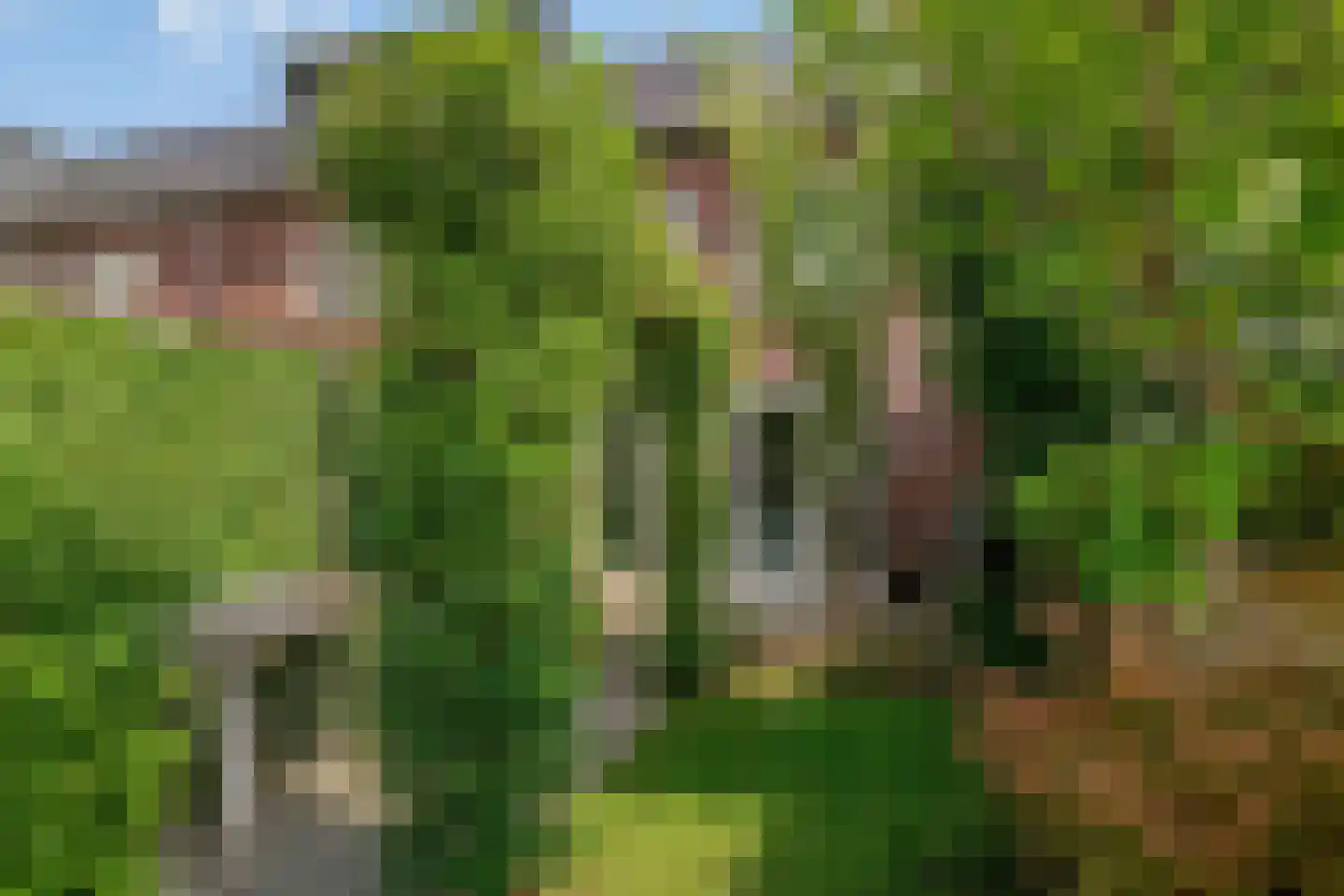 Shipovalaan 17 Utrecht thumbnail 33
