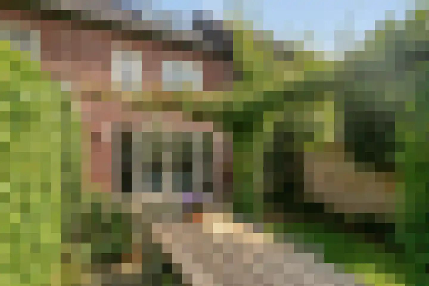 Shipovalaan 17 Utrecht thumbnail 34