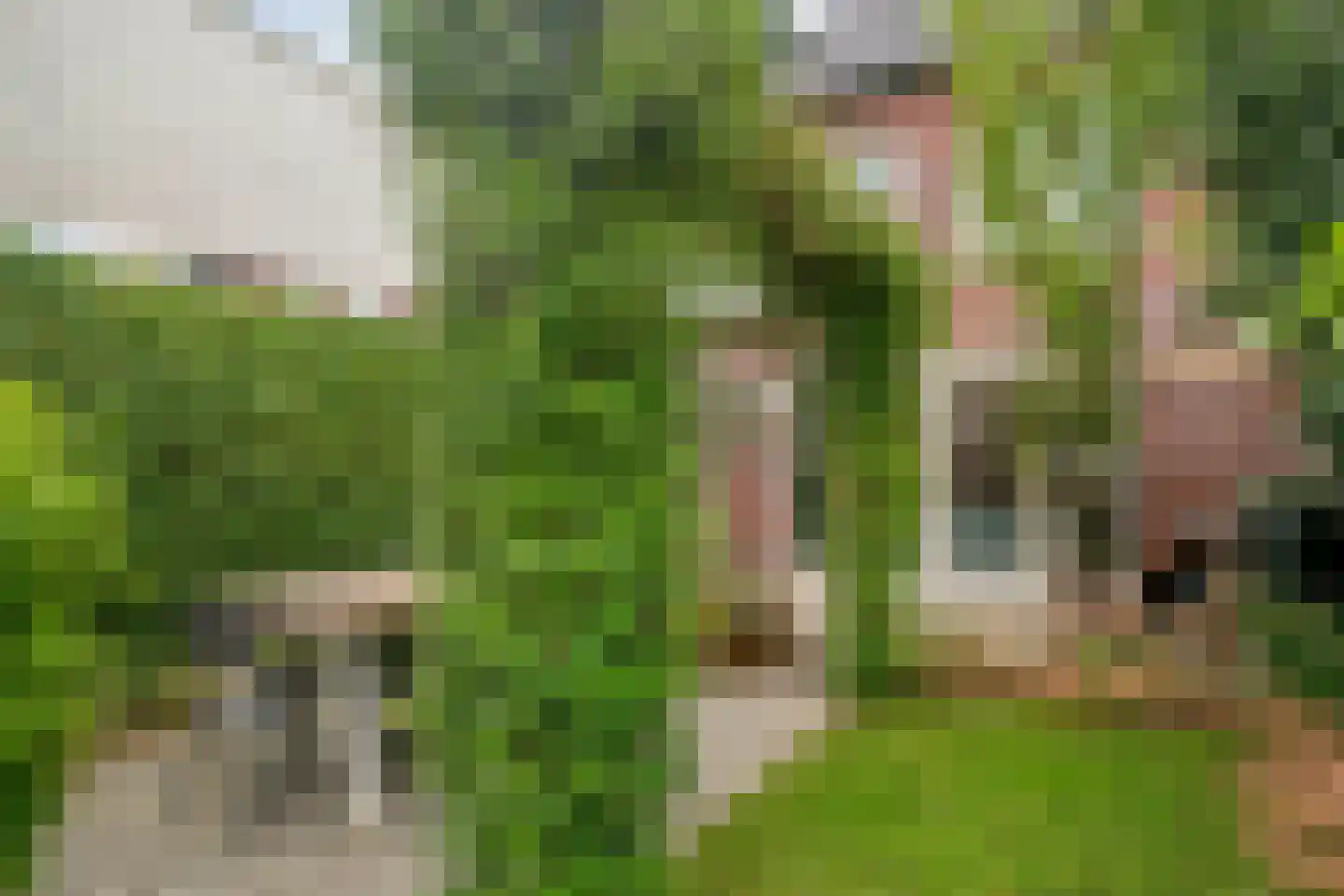 Shipovalaan 17 Utrecht thumbnail 35