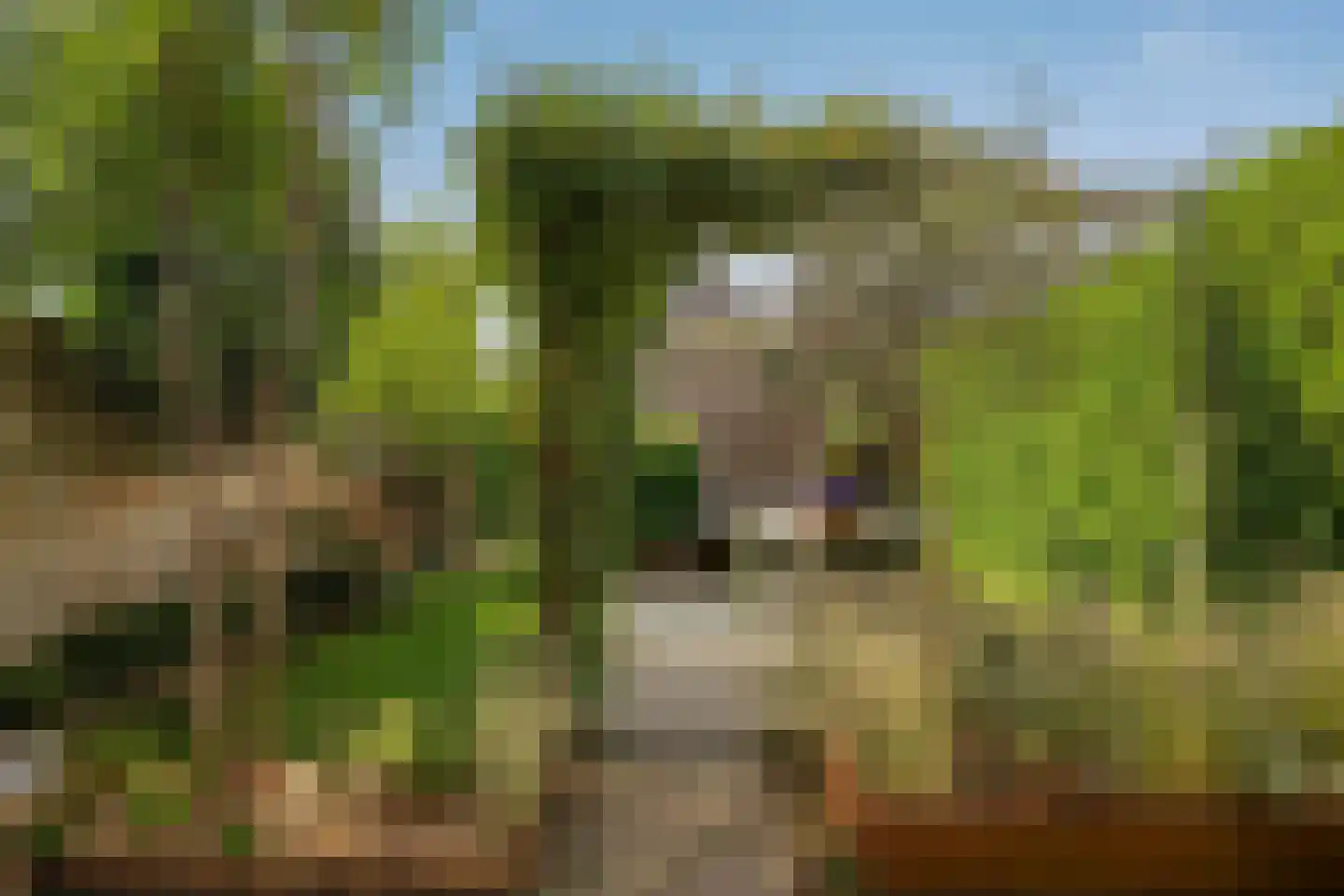 Shipovalaan 17 Utrecht thumbnail 4