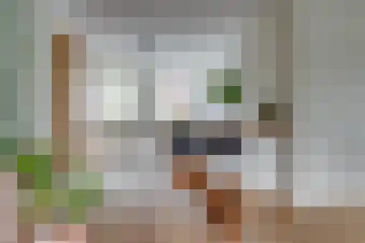 Shipovalaan 19 Utrecht thumbnail 10