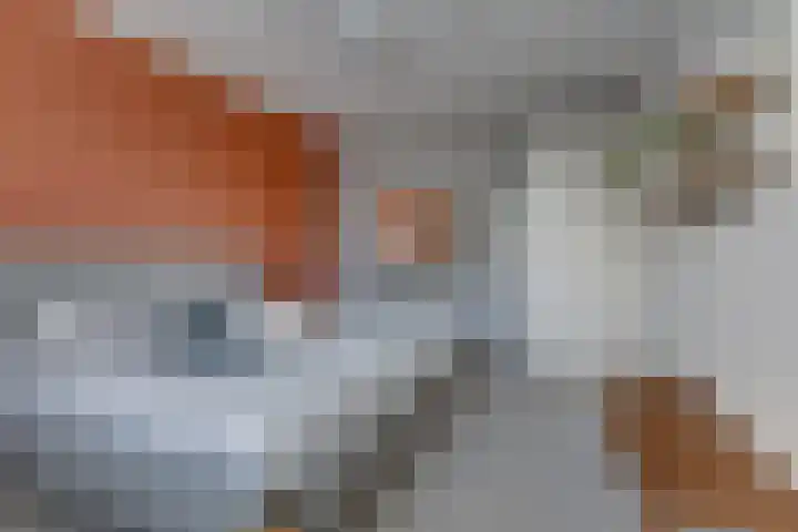 Shipovalaan 19 Utrecht thumbnail 17