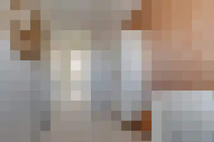 Shipovalaan 19 Utrecht thumbnail 21