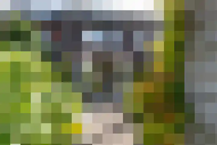 Shipovalaan 19 Utrecht thumbnail 31