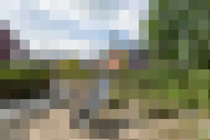 Shipovalaan 19 Utrecht thumbnail 32