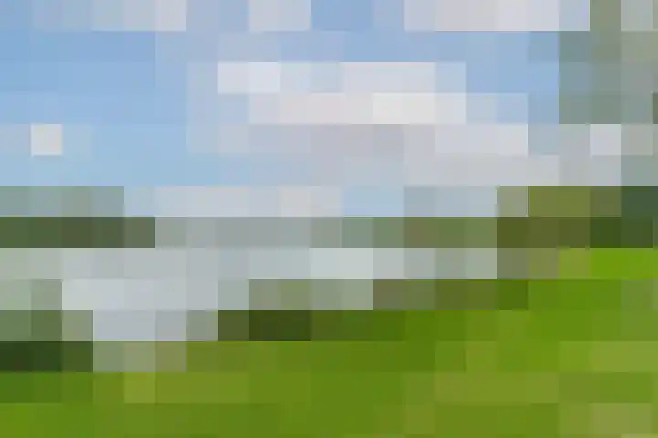 Shipovalaan 19 Utrecht thumbnail 35