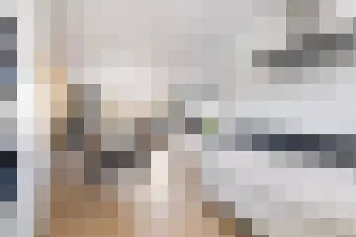 Shipovalaan 21 Utrecht thumbnail 15