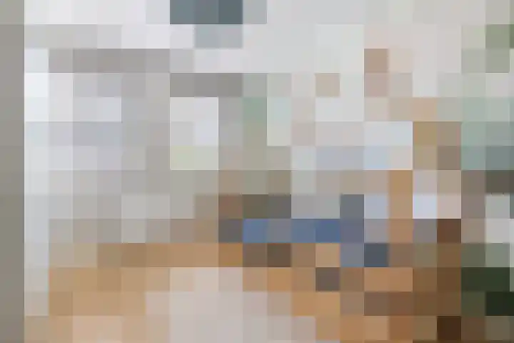 Shipovalaan 21 Utrecht thumbnail 23