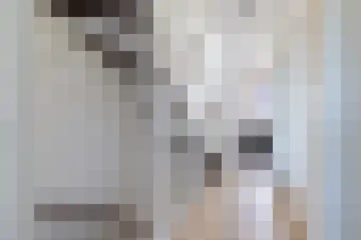 Shipovalaan 21 Utrecht thumbnail 28