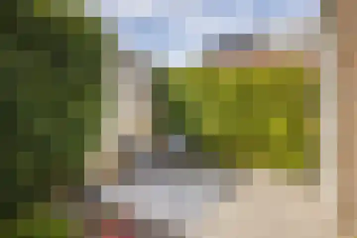 Shipovalaan 21 Utrecht thumbnail 40
