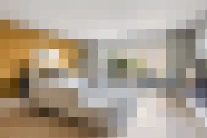 Shipovalaan 21 Utrecht thumbnail 5