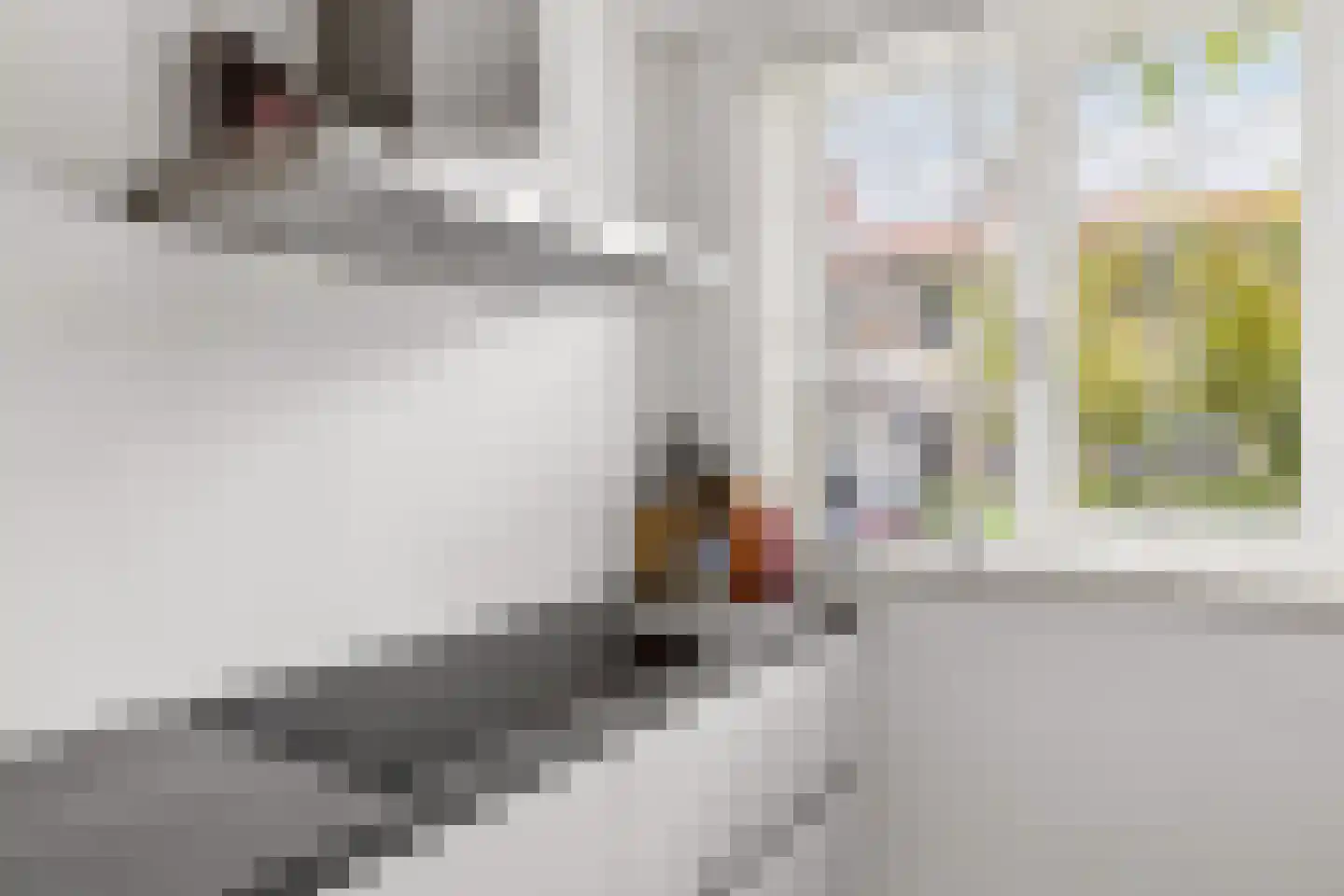 Shipovalaan 43 Utrecht thumbnail 14