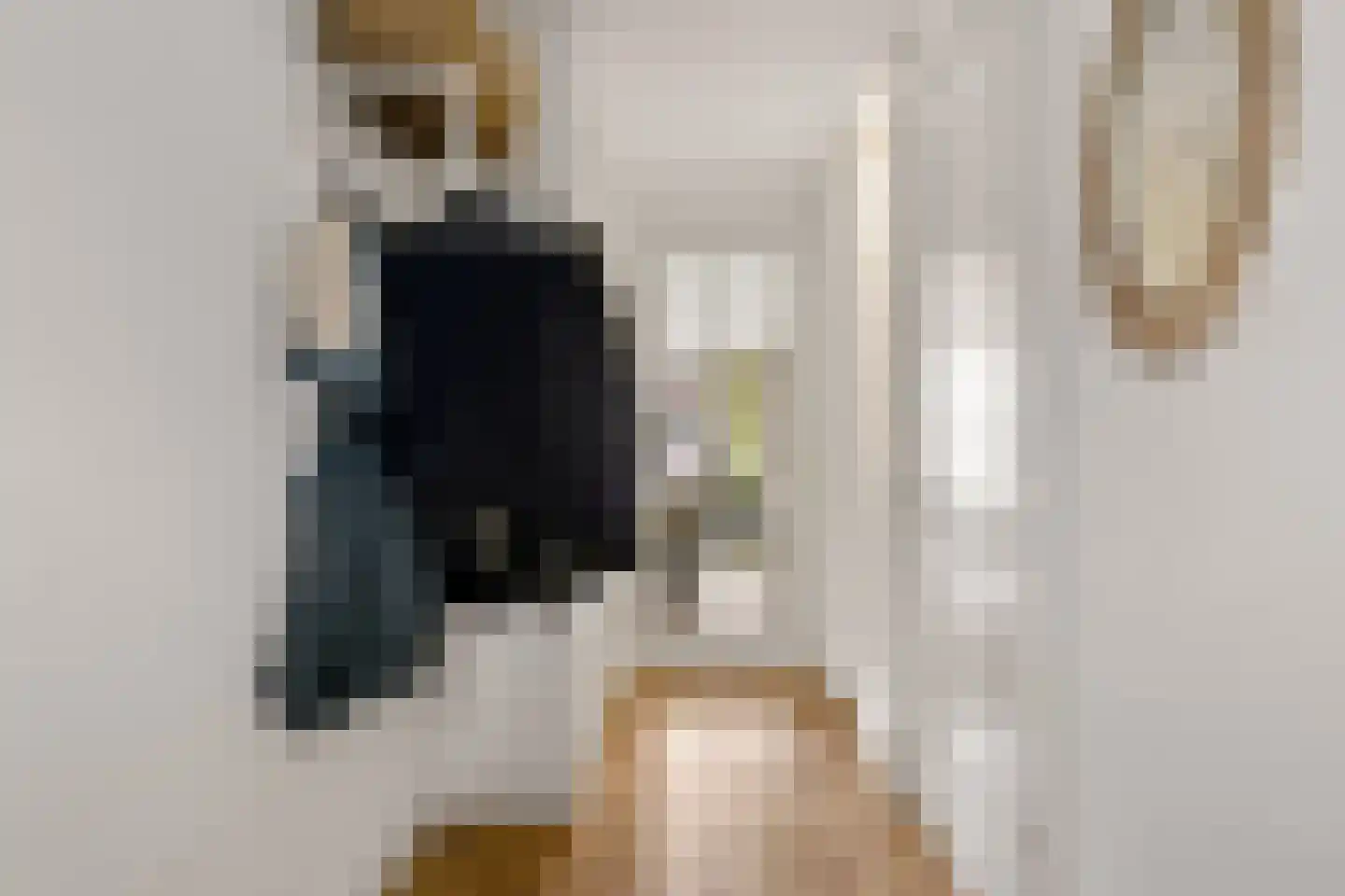 Shipovalaan 43 Utrecht thumbnail 17