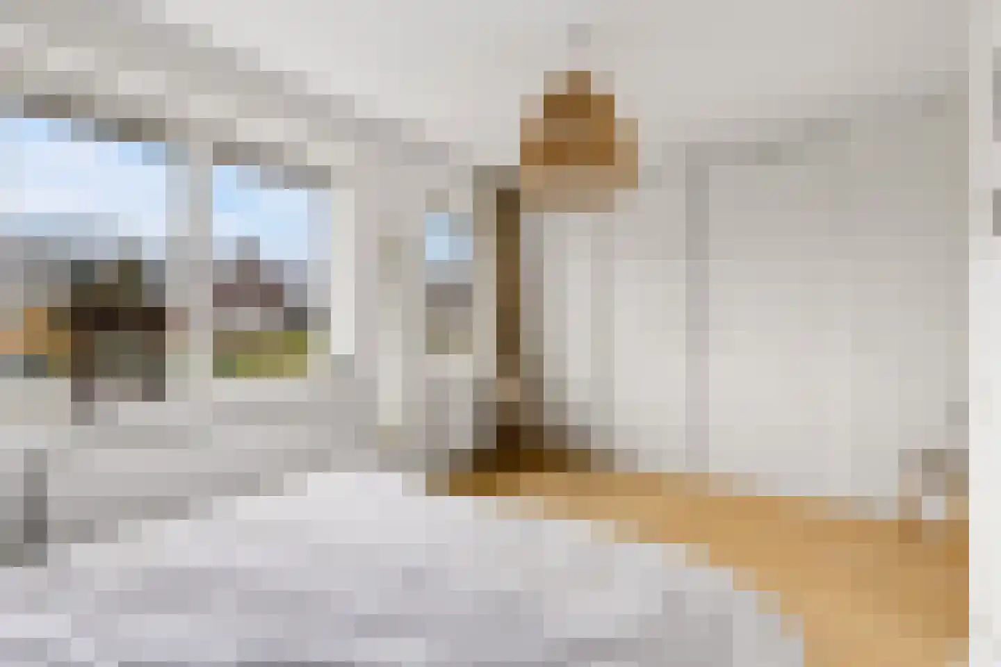 Shipovalaan 43 Utrecht thumbnail 21