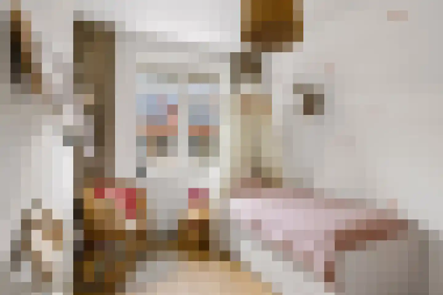 Shipovalaan 43 Utrecht thumbnail 25