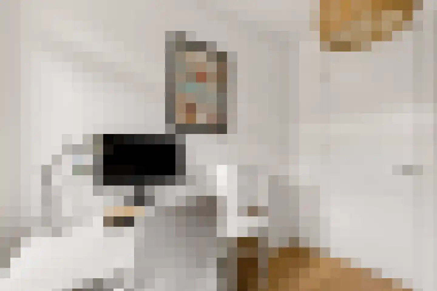 Shipovalaan 43 Utrecht thumbnail 28