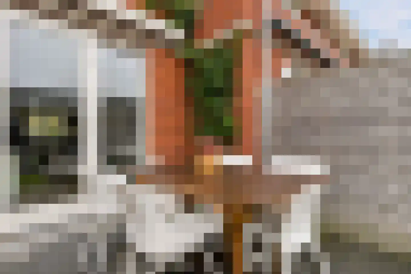 Shipovalaan 43 Utrecht thumbnail 39