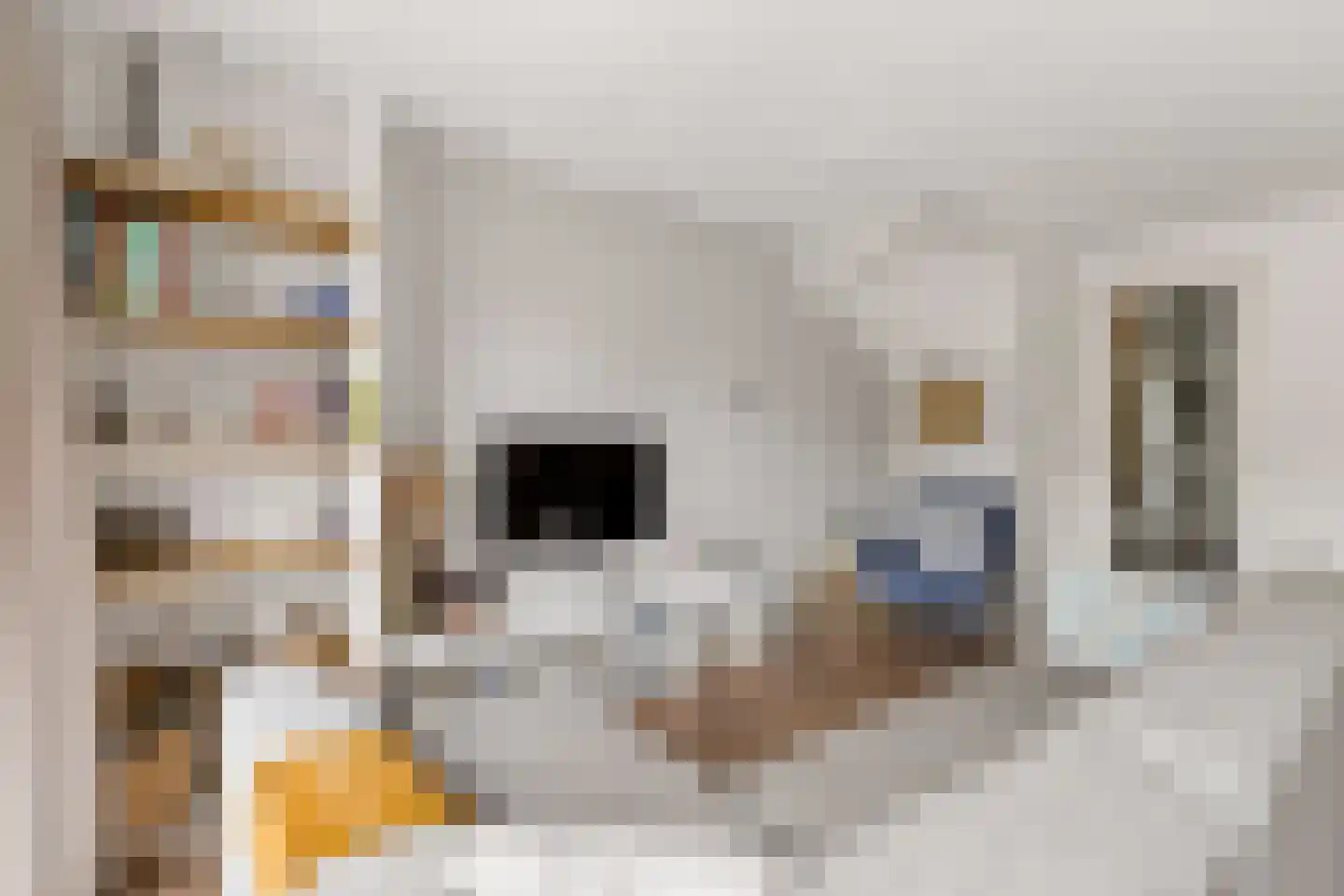 Shipovalaan 43 Utrecht thumbnail 5