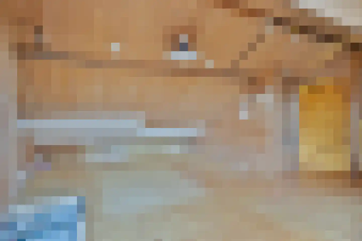 Shomonstraat 20 Margraten thumbnail 26