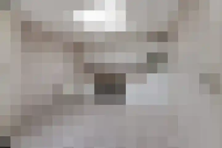 Siaerdamasingel 49 Dronryp thumbnail 12