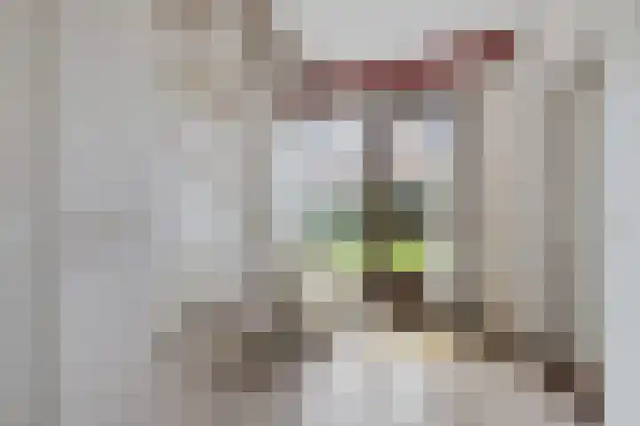Siaerdamasingel 49 Dronryp thumbnail 16