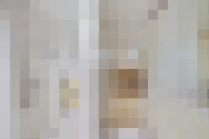 Siaerdamasingel 49 Dronryp thumbnail 22