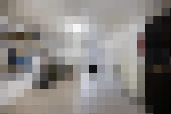 Siaerdamasingel 49 Dronryp thumbnail 31