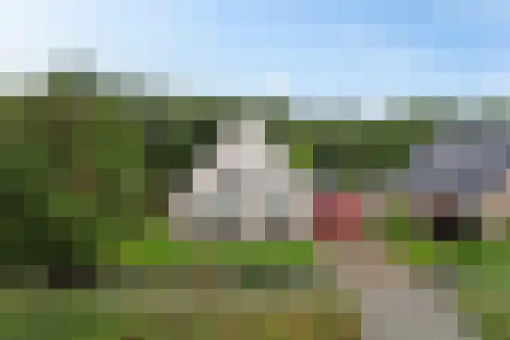 Siaerdamasingel 49 Dronryp thumbnail 32