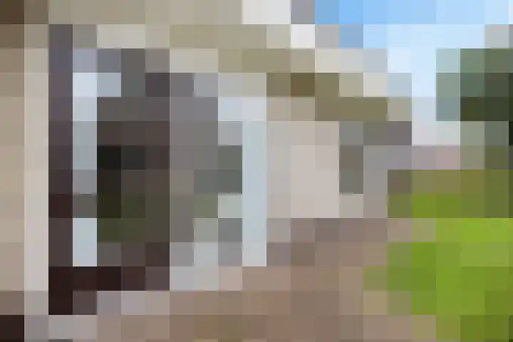 Siaerdamasingel 49 Dronryp thumbnail 37