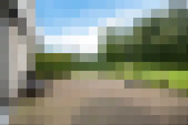 Siaerdamasingel 49 Dronryp thumbnail 38