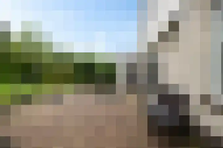 Siaerdamasingel 49 Dronryp thumbnail 39