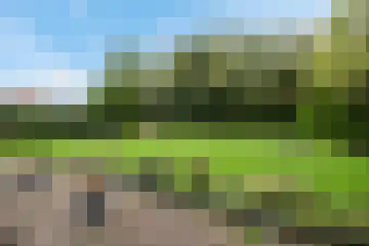 Siaerdamasingel 49 Dronryp thumbnail 40