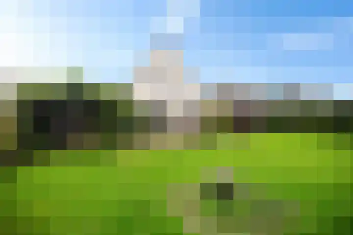 Siaerdamasingel 49 Dronryp thumbnail 41