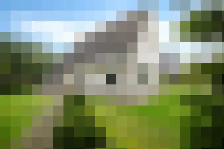 Siaerdamasingel 49 Dronryp thumbnail 45