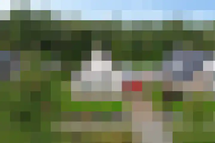 Siaerdamasingel 49 Dronryp thumbnail 46