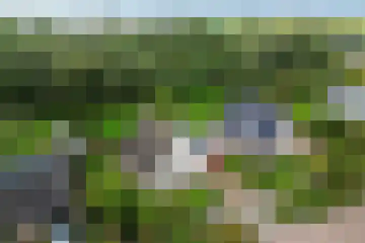 Siaerdamasingel 49 Dronryp thumbnail 47