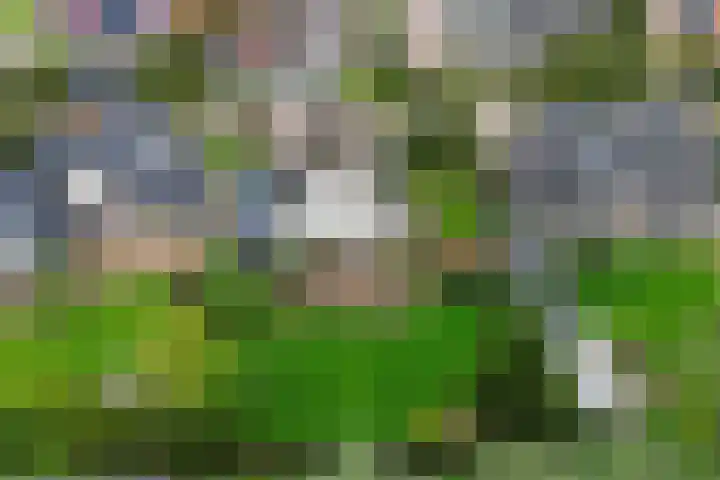 Siaerdamasingel 49 Dronryp thumbnail 48