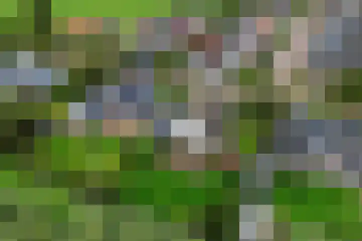 Siaerdamasingel 49 Dronryp thumbnail 49