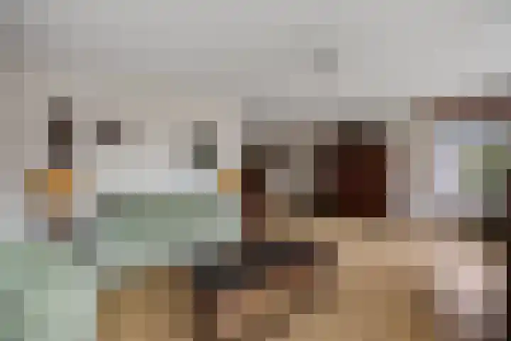 Siaerdamasingel 49 Dronryp thumbnail 5