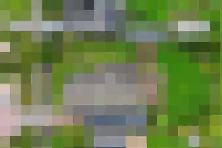 Siaerdamasingel 49 Dronryp thumbnail 50