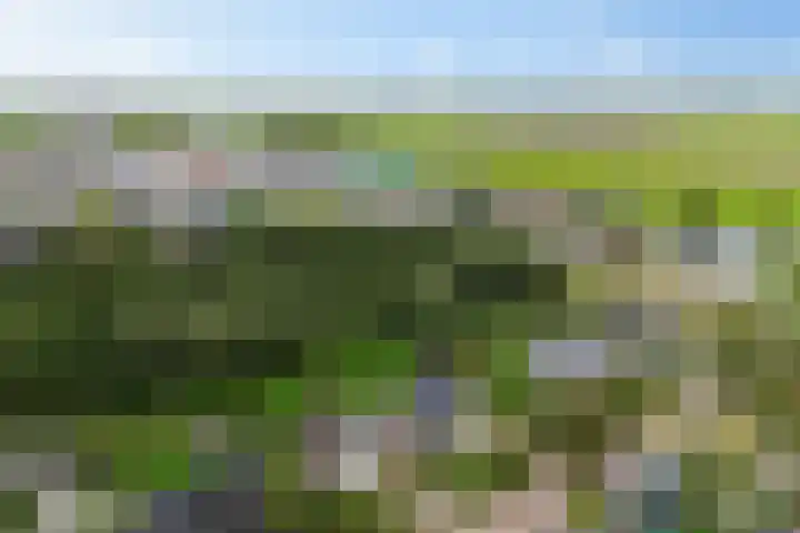 Siaerdamasingel 49 Dronryp thumbnail 52