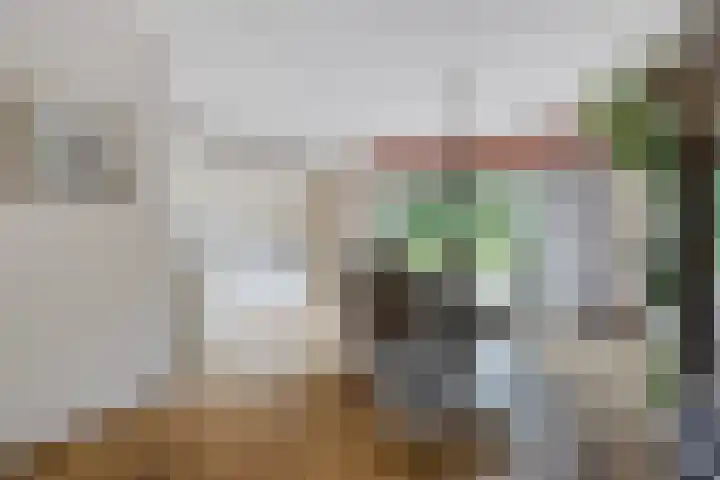 Siaerdamasingel 49 Dronryp thumbnail 6